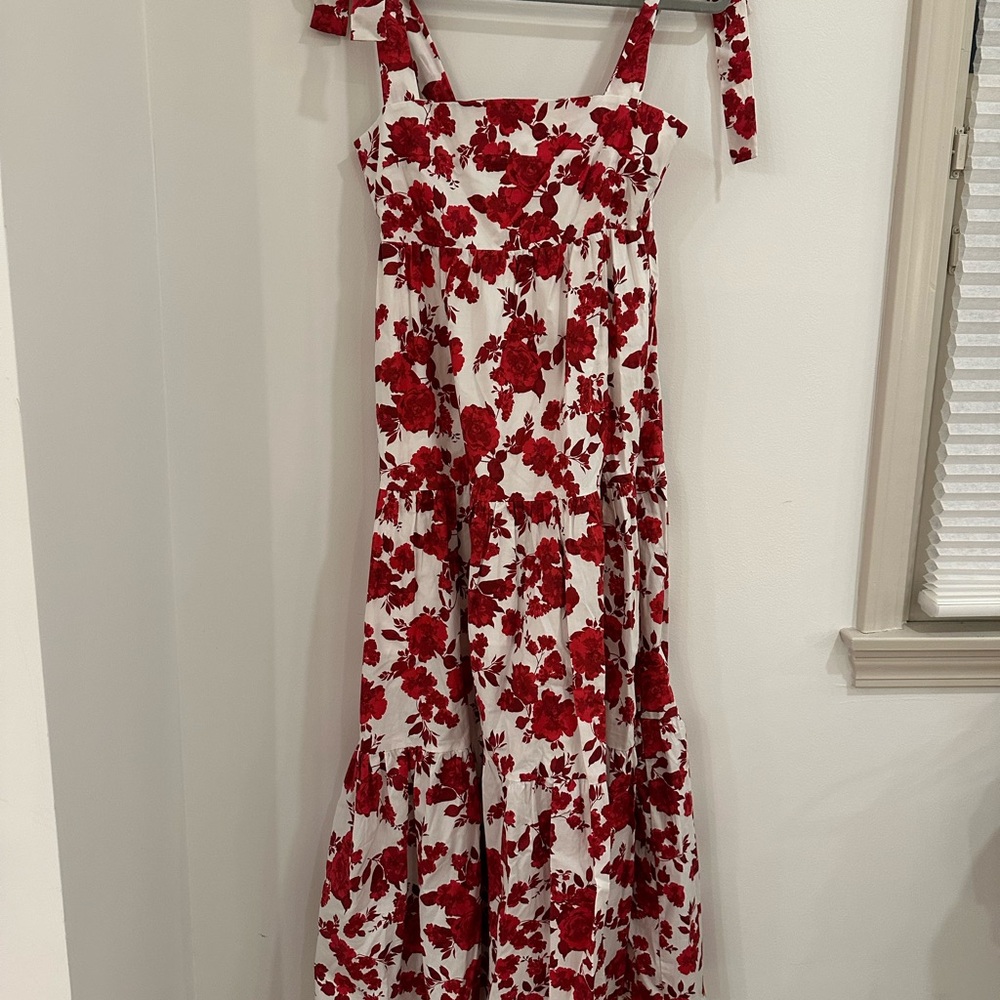 Buddy Love Red and White Floral Maxi Dress